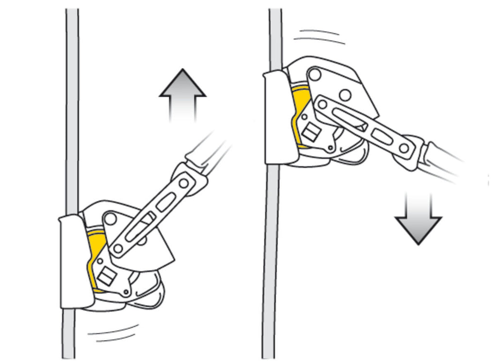 Petzl ASAP Lock Fall Arrestor